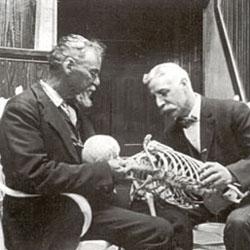 struttura-e-funzione-img1